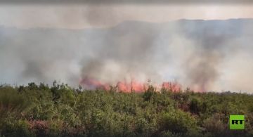 كشف حقيقة مسيرة تطلق اللهب لإشعال الحرائق عمدا في سوريا (فيديو)