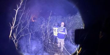 نظام إنذار جديد لمواجهة حرائق الغابات في الساحل السوري