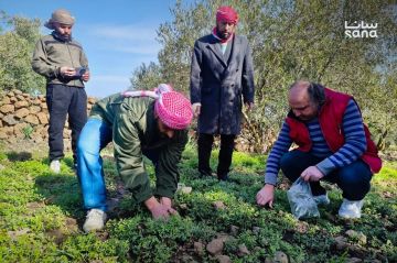 لليوم الثاني.. طائرات إسرائيلية ترش مواد مجهولة فوق أراضي القنيطرة بسوريا