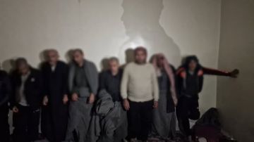 الداخلية تعلن القبض 81 عنصرا من داعش الفارين من سجن الشدادي