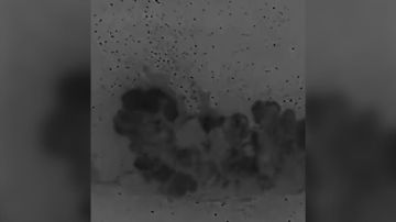  بلا دولة ينتمين لها .. نظرة على مخيم احتجاز نساء يرتبطن بتنظيم داعش في سوريا