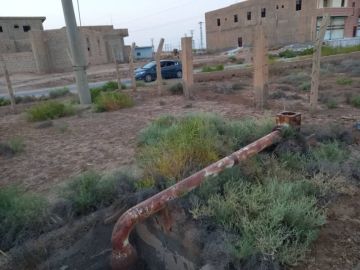 التملح يهدد أراضي قطاع الري السابع بريف البوكمال ومزارعوها يستغيثون