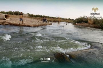 جولة ميدانية لبحث إعادة تأهيل جسر المراشدة الترابي بالبوكمال جولة ميدانية لبحث إعادة تأهيل جسر المراشدة الترابي بالبوكمال