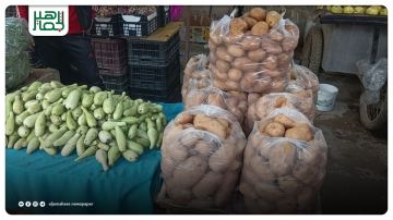 كيلو البطاطا يتجاوز حاجز الـ 100 ليرة .. الكوسا تلحق بها والباعة يشرحون الأسباب.! 