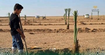 مجلس مدينة هجين يتابع تنفيذ خططة الرامية إلى مكافحة التصحر وتطوير الواقع البيئي في المنطقة مجلس مدينة هجين يتابع تنفيذ خططة الرامية إلى مكافحة التصحر وتطوير الواقع البيئي في المنطقة
