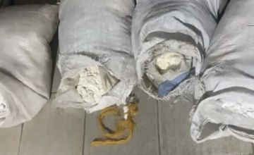 الجيش اللبناني يضبط عملية تهريب مواد متفجرة قادمة من سوريا الجيش اللبناني يضبط عملية تهريب مواد متفجرة قادمة من سوريا