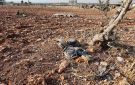 إصابة 6 مدنيين بانفجار مخلفات حرب في حلب ووفاة طفل بانفجار لغم في الرقة