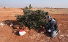 خطة شاملة لإزالة الألغام من سوريا في 3 سنوات - sy