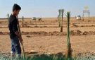 مجلس مدينة هجين يتابع تنفيذ خططة الرامية إلى مكافحة التصحر وتطوير الواقع البيئي في المنطقة
