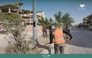 استمرار تنظيف الجزر الوسطية في شارع رئاسة الجامعة بدير الزور