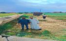صيانة فلوم الري الفرعي في ناحية الجلاء في البوكمال بريف ديرالزور الشرقي