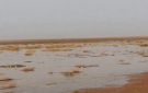بادية دير الزور تكتسي بأجواء الخير عقب هطول أمطار غزيرة