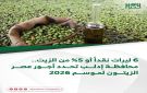6 ليرات نقدا أو 5 من الزيت.. محافظة إدلب تحدد أجور عصر الزيتون لموسم 2026