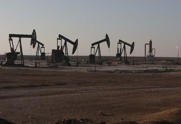 سوريا.. مسؤول نفطي يشيد بالحفاظ على حقول رميلان خلال الحرب ويتعهد بتحسين رواتب العاملين (فيديو) سوريا.. مسؤول نفطي يشيد بالحفاظ على حقول رميلان خلال الحرب ويتعهد بتحسين رواتب العاملين (فيديو)