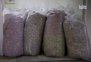 بالفيديو.. سوريا تتخلص من العملة القديمة وعملية إتلاف منظمة لتعزيز الثقة بالنقد الجديد