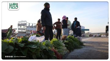 بلدية دير حافر تنقل بسطات الخضار إلى سوق الهال لتنظيم الحركة وتخفيف الازدحام