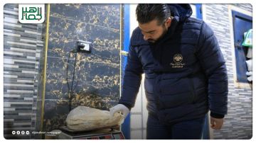 مديرية تجارة إدلب تصدر توضيحا بشأن الخبز التمويني والتجاري مديرية تجارة إدلب تصدر توضيحا بشأن الخبز التمويني والتجاري