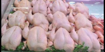 بعد تسجيل عدة إصابات.. وزارة الصحة تصدر تحذيرا حول طاعون الدجاج بعد تسجيل عدة إصابات.. وزارة الصحة تصدر تحذيرا حول طاعون الدجاج