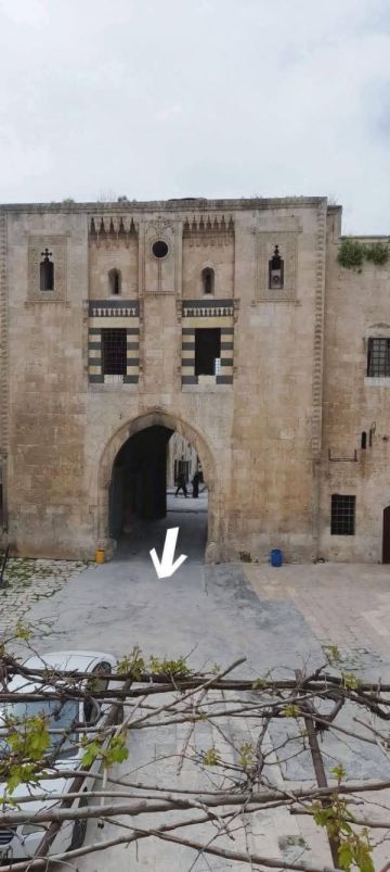 عالم آثار سوري يدق ناقوس الخطر!