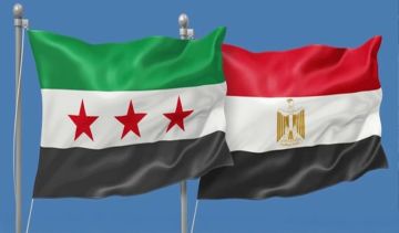 الحكومة السورية تتعهد بحل مشاكل مواطنيها القنصلية في مصر الحكومة السورية تتعهد بحل مشاكل مواطنيها القنصلية في مصر