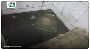 خطر بيئي يهدد سكان كرم الجبل.. ومياه الصرف الصحي تتسرب إلى الأقبية السكنية