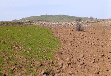 سوريا.. نتائج تحليل التربة والمياه بعد رش إسرائيل مواد مجهولة بريف القنيطرة