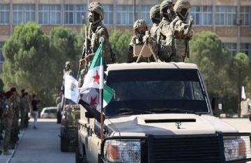 المجلس الإسلامي العلوي في سوريا يطالب بـدستور حكم فيدرالي لامركزي سياسي