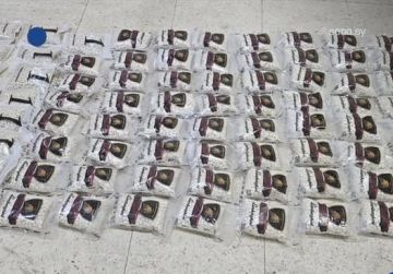 الداخلية : ضبط شحنة مخدرات كبيرة على الحدود اللبنانية أثناء محاولة دخولها سوريا الداخلية : ضبط شحنة مخدرات كبيرة على الحدود اللبنانية أثناء محاولة دخولها سوريا