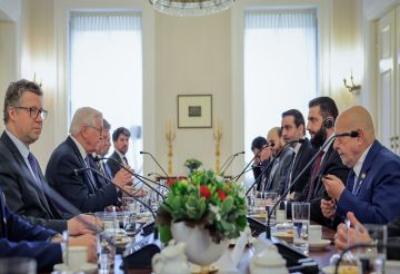 الشرع يبحث مع شتاينماير تعزيز العلاقات بين سوريا وألمانيا