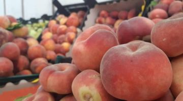 رصد لأسعار الخضار والفواكه في دمشق وريفها.. كيف أثر التصدير؟