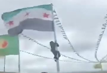 جدل إنزال العلم السوري في عيد النوروز.. بيان أمني وردود فعل شعبية واسعة (فيديوهات)