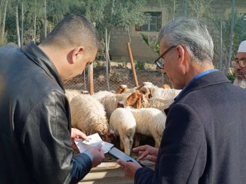 زراعة دير الزور تبدأ إحصاء الثروة الحيوانية عبر المنصة الرقمية الموحدة