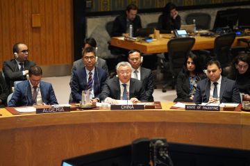 الصين تدعو الحكومة السورية إلى اتخاذ تدابير فعالة لمكافحة المنظمات الإرهابية