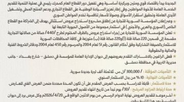 السورية للتجارة تطرح 440 صالة للاستثمار السورية للتجارة تطرح 440 صالة للاستثمار