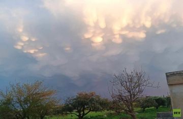 سحب الماماتوس تزين سماء منبج السورية في مشهد سماوي نادر (صورة) سحب الماماتوس تزين سماء منبج السورية في مشهد سماوي نادر (صورة)