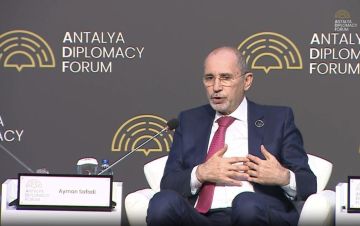 الصفدي: دعم دولي لاستقرار سوريا ودمشق منفتحة على الالتزام باتفاقية فض الاشتباك