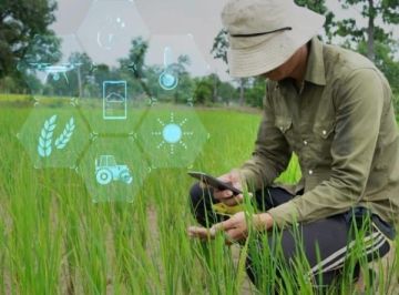 هل تساهم تطبيقات الذكاء الاصطناعي في إحداث نقلة نوعية بالقطاع الزراعي؟