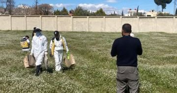 العثور على مقبرة جماعية في معضمية الشام