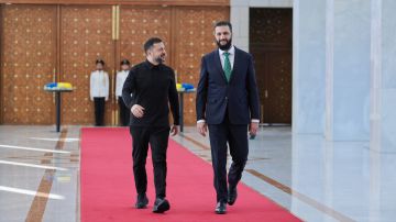 الشرع وزيلينسكي يبحثان التعاون الثنائي والأمن الغذائي