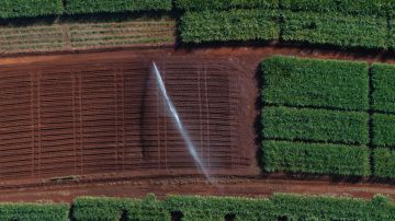 سوريا.. البرد يلحق خسائر مهولة بمحاصيل زراعية ومطالب بتعويض المتضررين