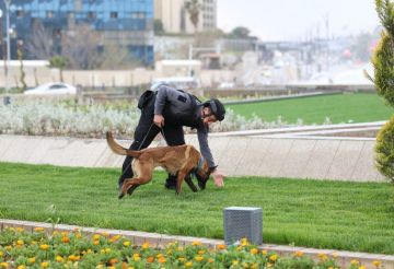 الداخلية السورية: إحباط مخطط لاستهداف شخصية دينية بعبوة ناسفة في دمشق