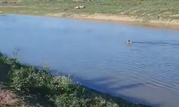الحسكة: غرق طفل وفقدان آخر في نهر الخابور ( فيديو ) الحسكة: غرق طفل وفقدان آخر في نهر الخابور ( فيديو )