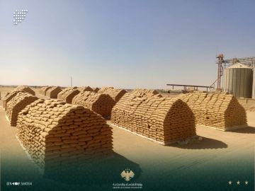 استمرار استقبال محصول القمح في مركز بدر ضمن موسم التسويق الحالي استمرار استقبال محصول القمح في مركز بدر ضمن موسم التسويق الحالي