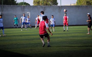 sport7.news