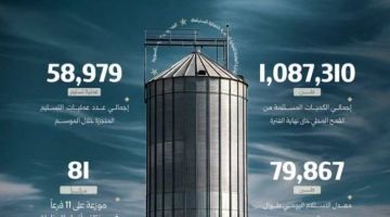 الكميات المستلمة من القمح المحلي تتجاوز مليون طن الكميات المستلمة من القمح المحلي تتجاوز مليون طن