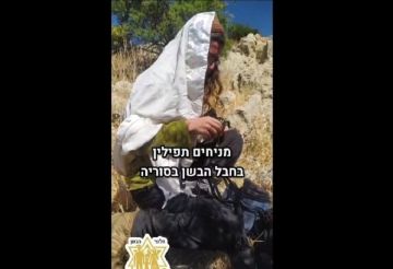 الجيش الإسرائيلي يعيد مجددا إسرائيليين عبروا الحدود إلى الأراضي السورية الجيش الإسرائيلي يعيد مجددا إسرائيليين عبروا الحدود إلى الأراضي السورية