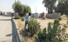 برنامج عمل يومي مستمر لمديرية الحدائق والتشجير في الرقة - sy