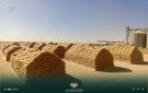 استمرار استقبال محصول القمح في مركز بدر ضمن موسم التسويق الحالي