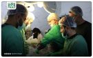 مشفى الشفاء بإدلب يقدم خدمات لأكثر من 13 ألف مريض خلال حزيران.. ومشفى إدلب الجامعي ينظم ورشة حول العلاجات الحديثة للحصيات البولية