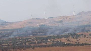 سوريا: حرائق تلتهم الأراضي الزراعية بريف القنيطرة بعد إلقاء الاحتلال للقنابل الصوتية